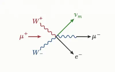 Étude des Interactions W⁺ et W⁻