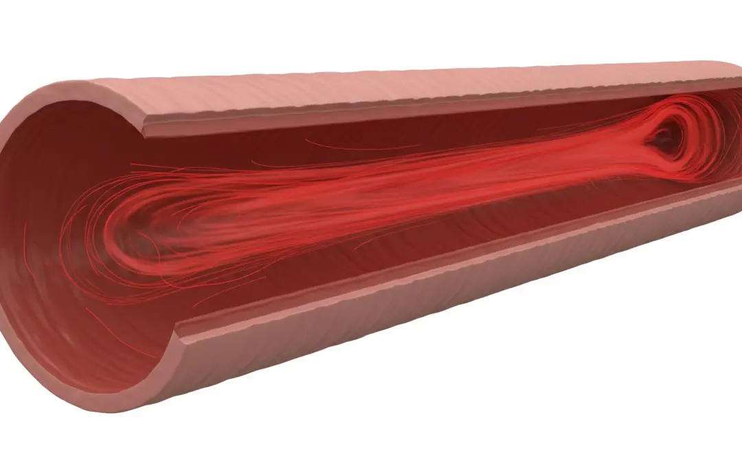 Analyse Dynamique du Flux Sanguin