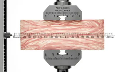Calcul du module d’élasticité (E) du tissu