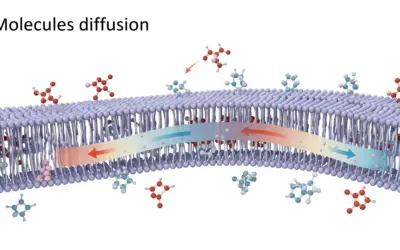 Calcul de la Diffusion Moléculaire
