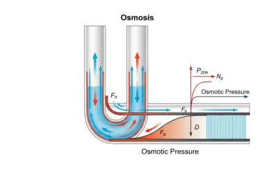Le Phénomène d’Osmose et la Pression Osmotique