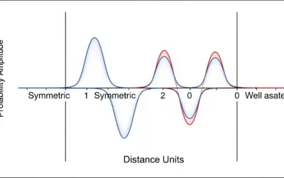 Symétrisation des Fonctions d’Onde